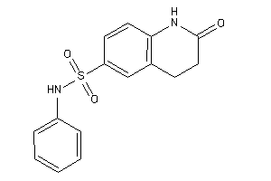 2-keto-N-phenyl-3,4-dihydro-1H-quinoline-6-sulfonamide