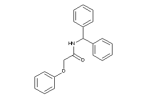 N-benzhydryl-2-phenoxy-acetamide