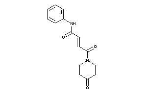 4-keto-4-(4-ketopiperidino)-N-phenyl-but-2-enamide
