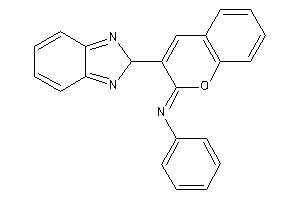 [3-(2H-benzimidazol-2-yl)chromen-2-ylidene]-phenyl-amine