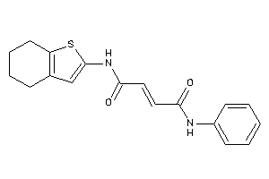 N-phenyl-N'-(4,5,6,7-tetrahydrobenzothiophen-2-yl)but-2-enediamide