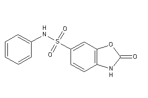 2-keto-N-phenyl-3H-1,3-benzoxazole-6-sulfonamide