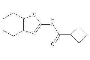 N-(4,5,6,7-tetrahydrobenzothiophen-2-yl)cyclobutanecarboxamide