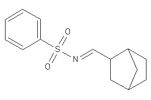 N-(2-norbornylmethylene)benzenesulfonamide