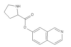 Pyrrolidine-2-carboxylic Acid 7-isoquinolyl Ester