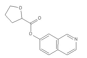 Tetrahydrofuran-2-carboxylic Acid 7-isoquinolyl Ester