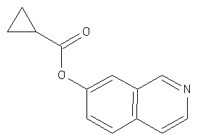 Image of Cyclopropanecarboxylic Acid 7-isoquinolyl Ester