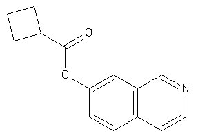 Cyclobutanecarboxylic Acid 7-isoquinolyl Ester