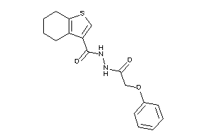 N'-(2-phenoxyacetyl)-4,5,6,7-tetrahydrobenzothiophene-3-carbohydrazide