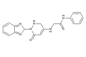 Image of 2-[[2-(2H-benzimidazol-2-yl)-3-keto-1,6-dihydropyridazin-5-yl]amino]-N-phenyl-acetamide