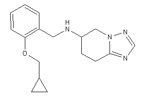 [2-(cyclopropylmethoxy)benzyl]-(5,6,7,8-tetrahydro-[1,2,4]triazolo[1,5-a]pyridin-6-yl)amine