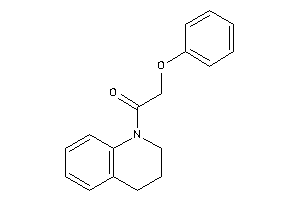 1-(3,4-dihydro-2H-quinolin-1-yl)-2-phenoxy-ethanone