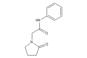 2-(2-ketopyrrolidino)-N-phenyl-acetamide