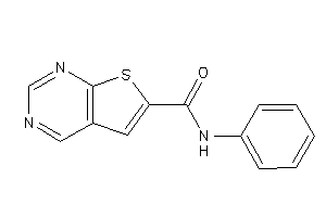 N-phenylthieno[2,3-d]pyrimidine-6-carboxamide