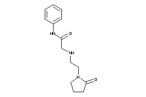 2-[2-(2-ketopyrrolidino)ethylamino]-N-phenyl-acetamide