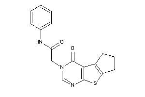 2-(ketoBLAHyl)-N-phenyl-acetamide