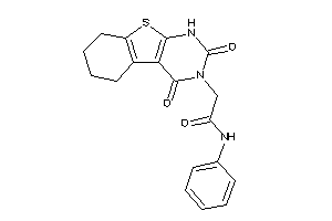 2-(2,4-diketo-5,6,7,8-tetrahydro-1H-benzothiopheno[2,3-d]pyrimidin-3-yl)-N-phenyl-acetamide