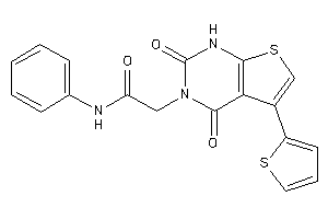 2-[2,4-diketo-5-(2-thienyl)-1H-thieno[2,3-d]pyrimidin-3-yl]-N-phenyl-acetamide