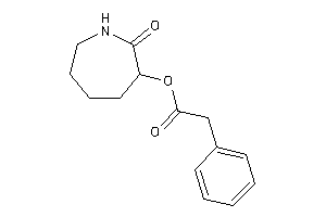 2-phenylacetic Acid (2-ketoazepan-3-yl) Ester