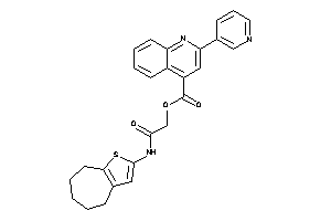 2-(3-pyridyl)cinchonin [2-keto-2-(5,6,7,8-tetrahydro-4H-cyclohepta[b]thiophen-2-ylamino)ethyl] Ester