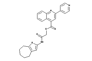 Image of 2-(4-pyridyl)cinchonin [2-keto-2-(5,6,7,8-tetrahydro-4H-cyclohepta[b]thiophen-2-ylamino)ethyl] Ester