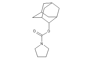 Image of Pyrrolidine-1-carboxylic Acid 2-adamantyl Ester