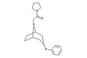 2-(3-phenoxy-8-azabicyclo[3.2.1]octan-8-yl)-1-pyrrolidino-ethanone