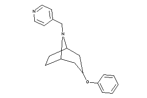 3-phenoxy-8-(4-pyridylmethyl)-8-azabicyclo[3.2.1]octane