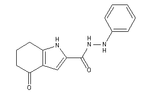 4-keto-N'-phenyl-1,5,6,7-tetrahydroindole-2-carbohydrazide