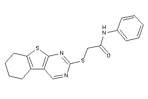 N-phenyl-2-(5,6,7,8-tetrahydrobenzothiopheno[2,3-d]pyrimidin-2-ylthio)acetamide