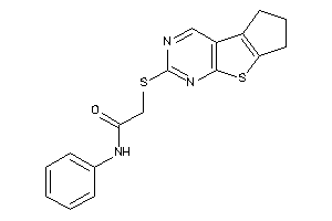 N-phenyl-2-(BLAHylthio)acetamide