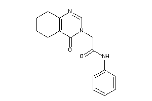 2-(4-keto-5,6,7,8-tetrahydroquinazolin-3-yl)-N-phenyl-acetamide