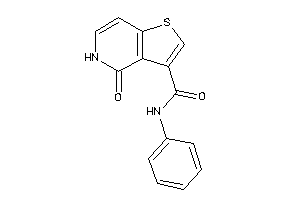 4-keto-N-phenyl-5H-thieno[3,2-c]pyridine-3-carboxamide