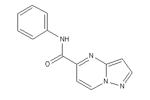 N-phenylpyrazolo[1,5-a]pyrimidine-5-carboxamide