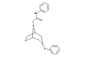 2-(3-phenoxy-8-azabicyclo[3.2.1]octan-8-yl)-N-phenyl-acetamide