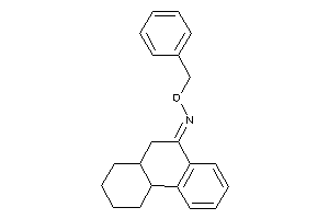 2,3,4,4a,10,10a-hexahydro-1H-phenanthren-9-ylidene(benzoxy)amine