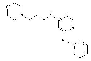 (6-anilinopyrimidin-4-yl)-(3-morpholinopropyl)amine