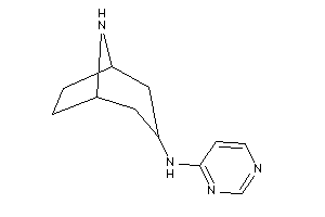 8-azabicyclo[3.2.1]octan-3-yl(4-pyrimidyl)amine