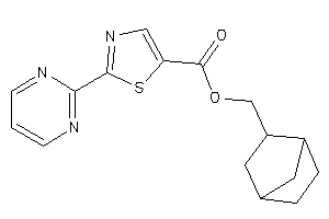 2-(2-pyrimidyl)thiazole-5-carboxylic Acid 2-norbornylmethyl Ester