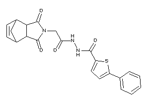 N'-[2-(diketoBLAHyl)acetyl]-5-phenyl-thiophene-2-carbohydrazide