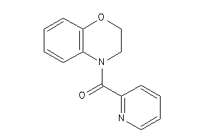 2,3-dihydro-1,4-benzoxazin-4-yl(2-pyridyl)methanone
