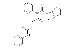 2-[[keto(phenyl)BLAHyl]thio]-N-phenyl-acetamide