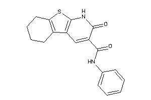 Image of 2-keto-N-phenyl-5,6,7,8-tetrahydro-1H-benzothiopheno[2,3-b]pyridine-3-carboxamide