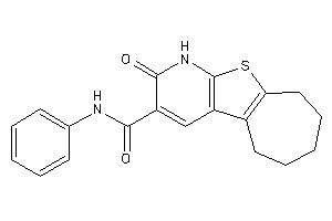 Keto-N-phenyl-BLAHcarboxamide