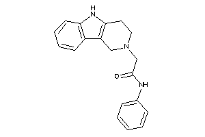 N-phenyl-2-(1,3,4,5-tetrahydropyrido[4,3-b]indol-2-yl)acetamide