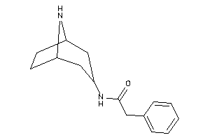 N-(8-azabicyclo[3.2.1]octan-3-yl)-2-phenyl-acetamide