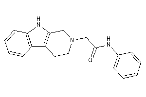N-phenyl-2-(1,3,4,9-tetrahydro-$b-carbolin-2-yl)acetamide