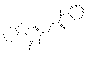 3-(4-keto-5,6,7,8-tetrahydro-3H-benzothiopheno[2,3-d]pyrimidin-2-yl)-N-phenyl-propionamide