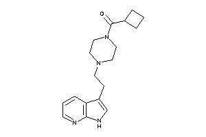 Cyclobutyl-[4-[2-(1H-pyrrolo[2,3-b]pyridin-3-yl)ethyl]piperazino]methanone