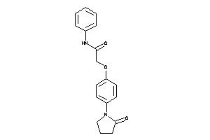2-[4-(2-ketopyrrolidino)phenoxy]-N-phenyl-acetamide